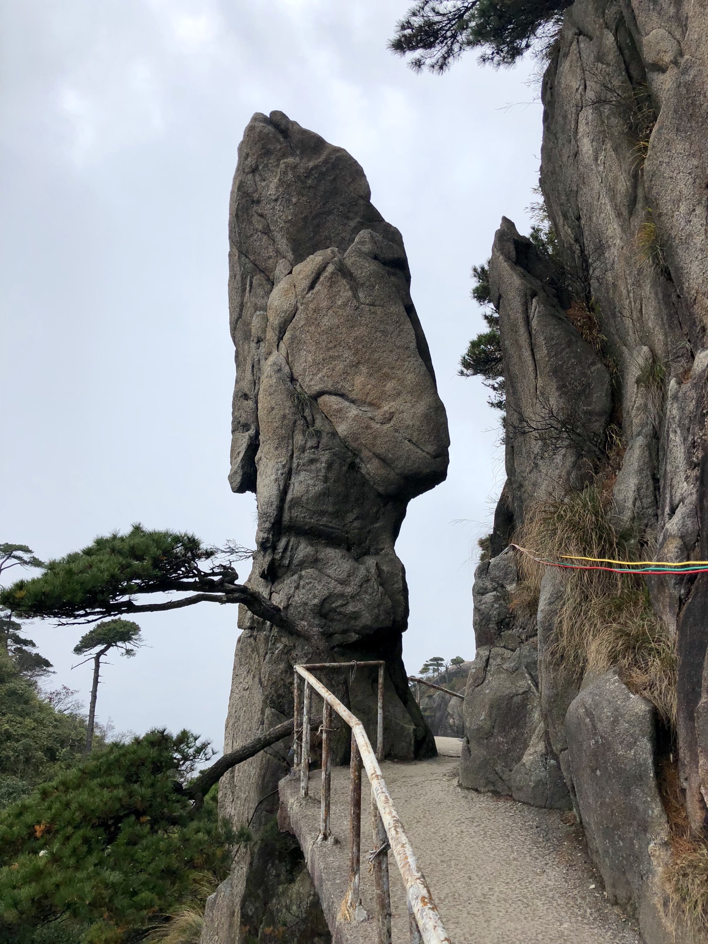 wKgED1wbTeeASt9PAA3G9Nt4uic68.jpeg?imageView2%2F2%2Fw%2F600%2Fh%2F600%2Fq%2F90