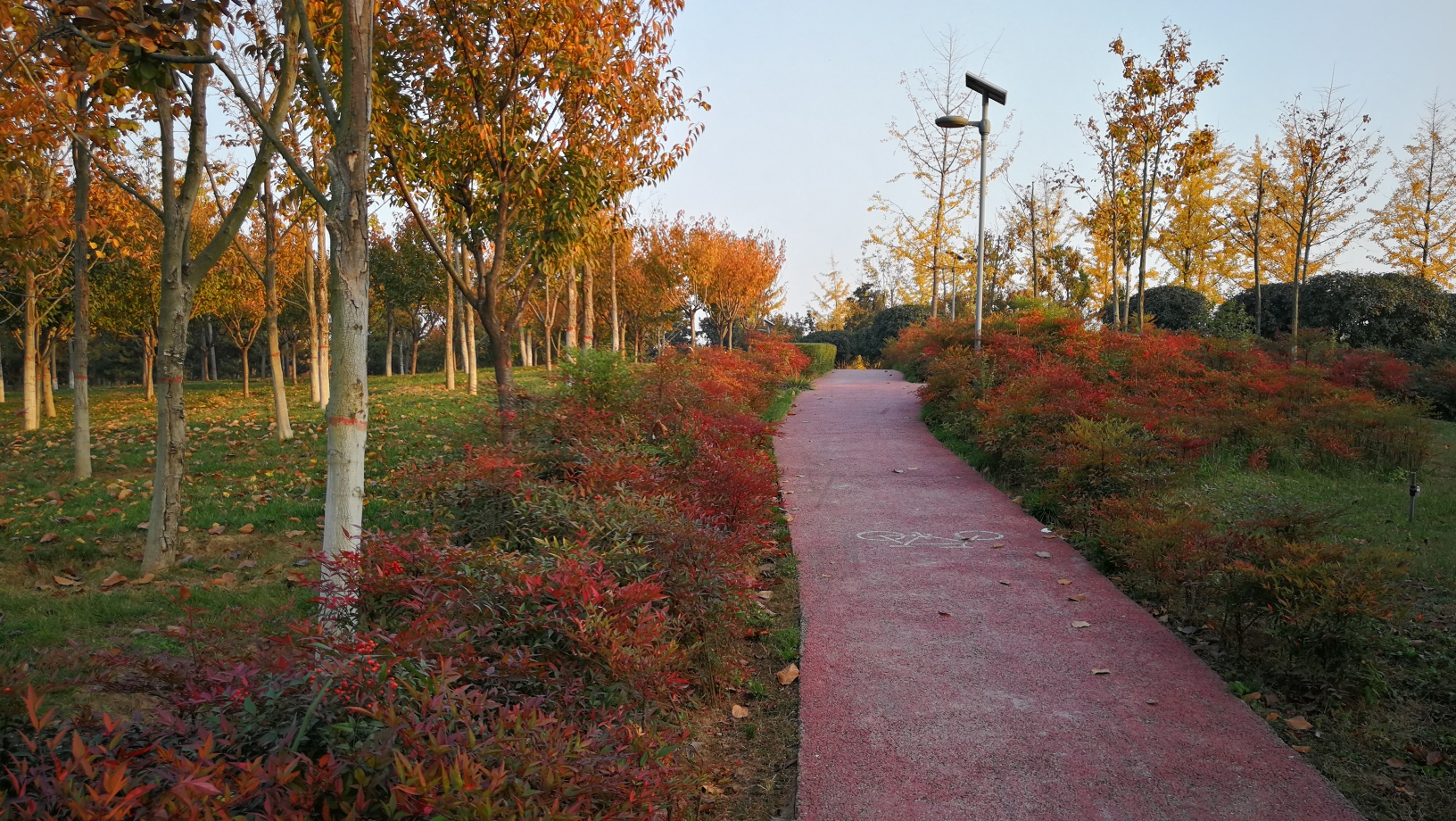 值得一游的小众景点--洨河生态公园赏秋