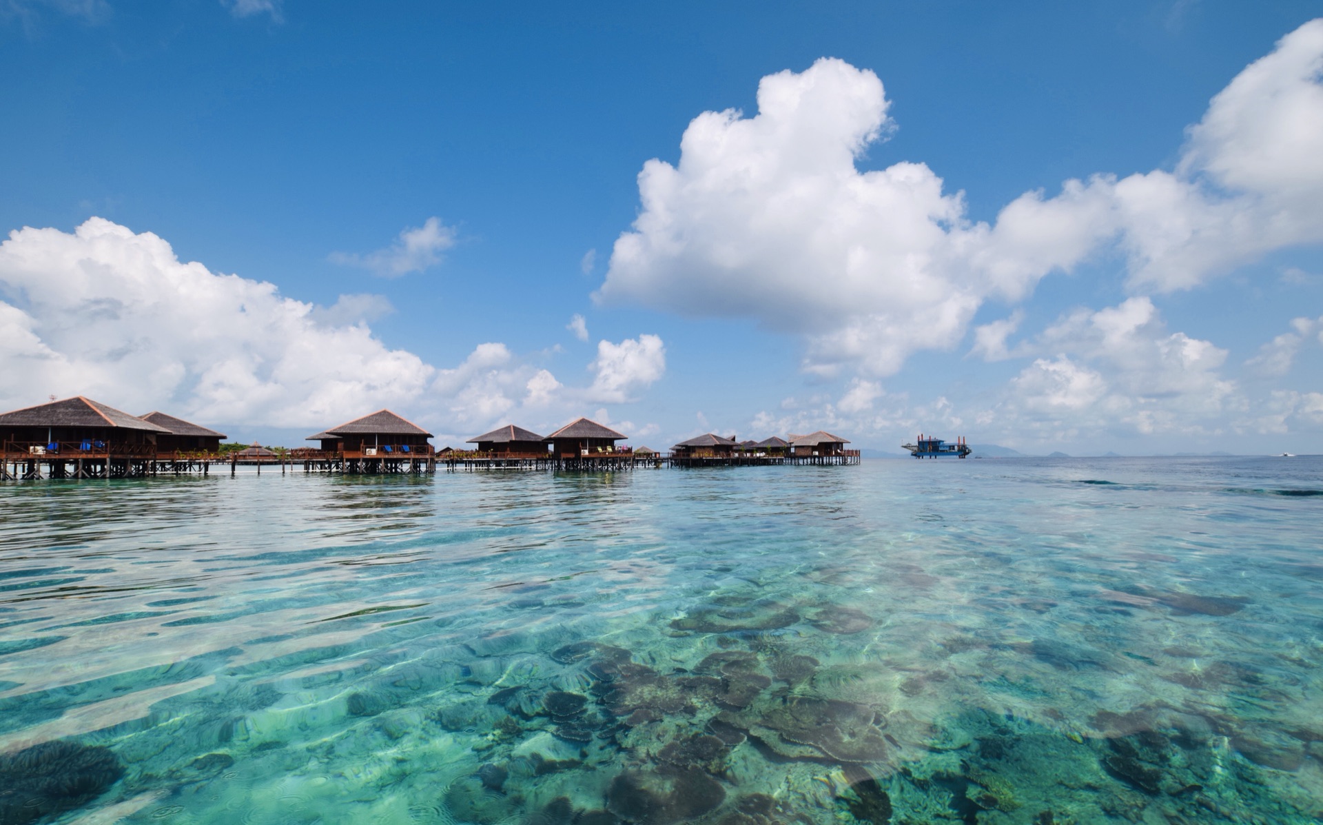 wKgED1u0vAuAK0QSAAcr69E-m8079.jpeg?imageView2%2F2%2Fw%2F600%2Fh%2F600%2Fq%2F90