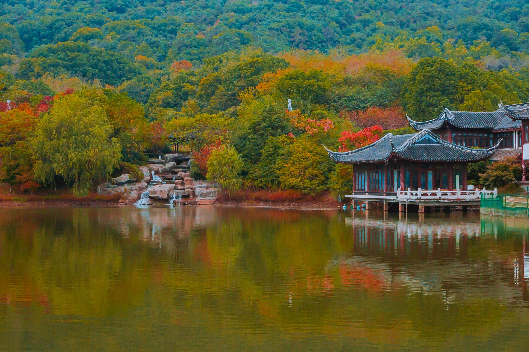 【慢游沙洲】一场邂逅江南秋天的旅行