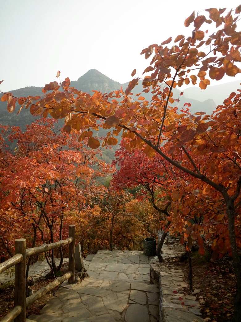 周口店坡峰岭风景区      