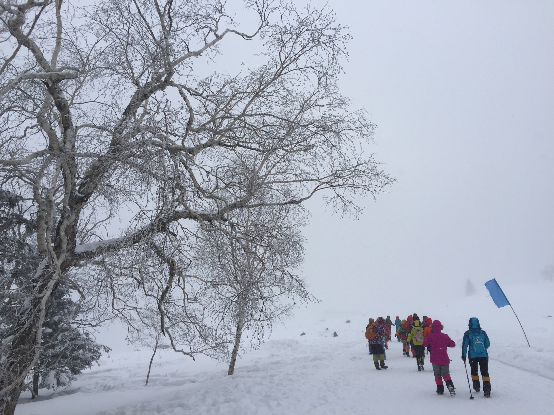 东北的那场大雪纷飞