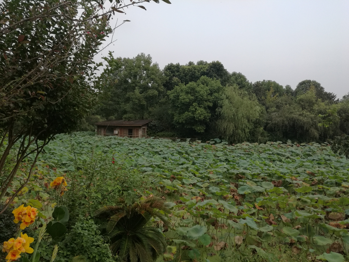 花小溪猜成语_小溪简笔画(3)