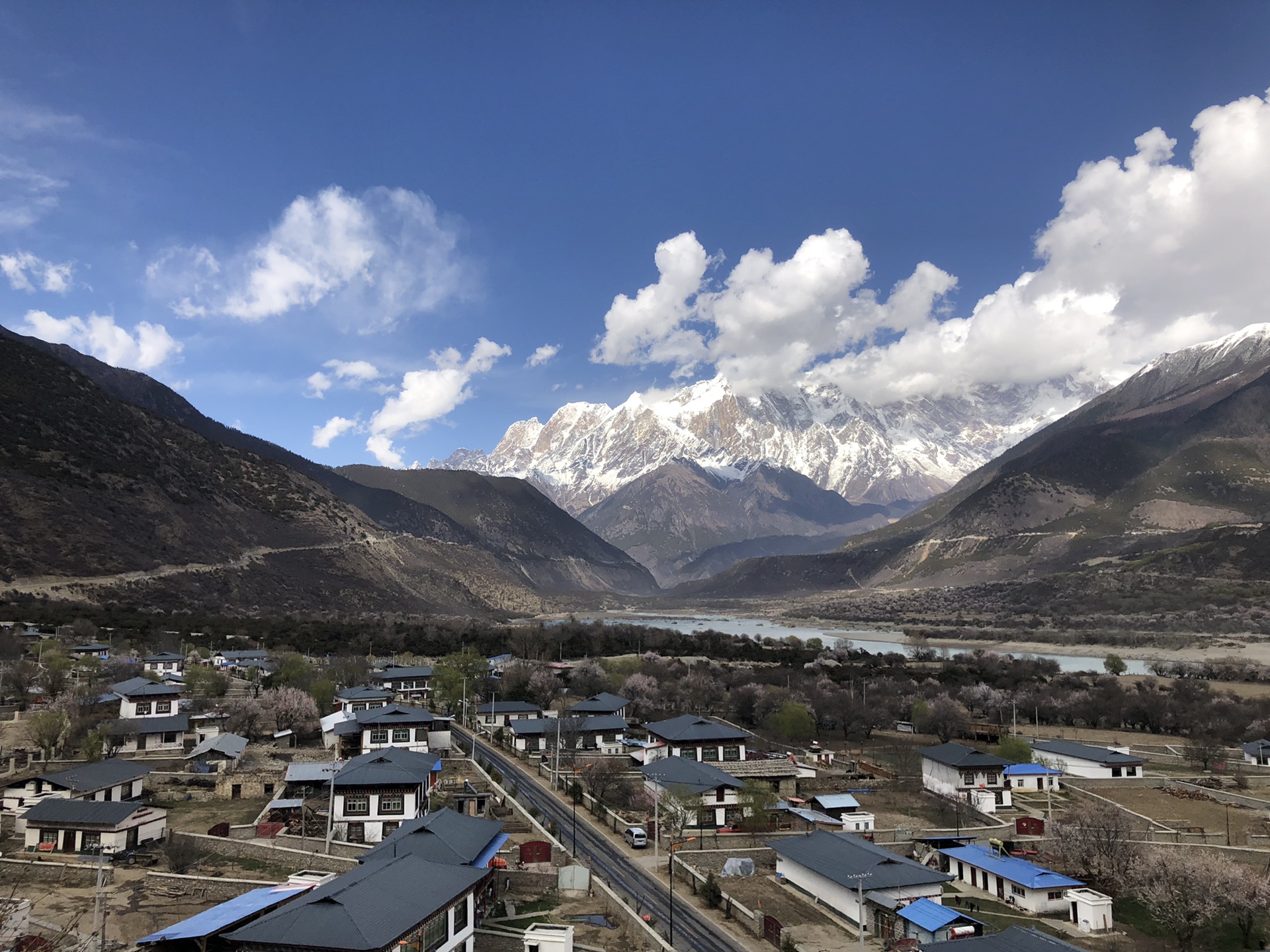 在林芝市常住人口中包含了哪些民族