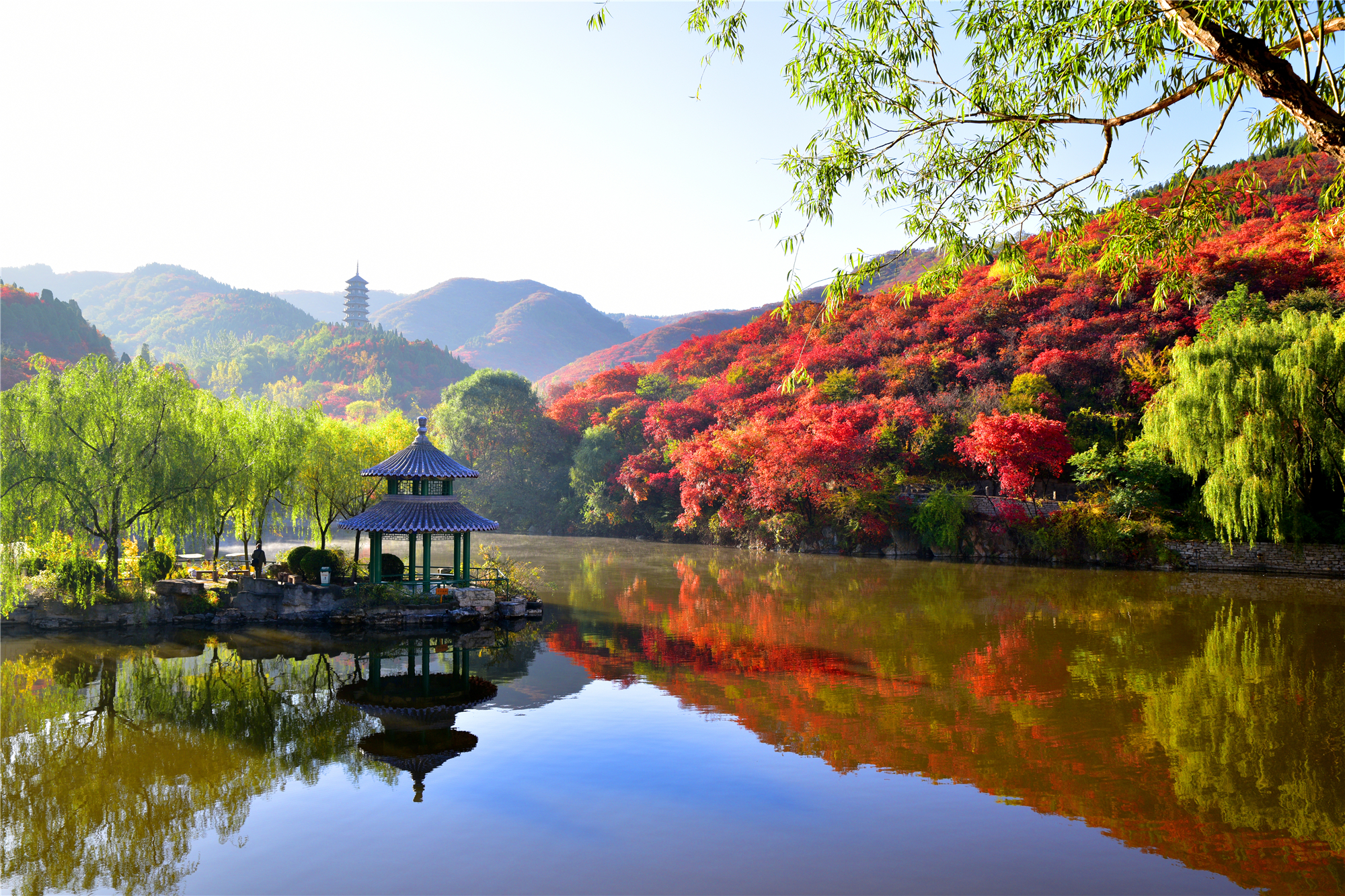 莱芜 经济总量2020_2020莱芜蟠龙山公墓(2)