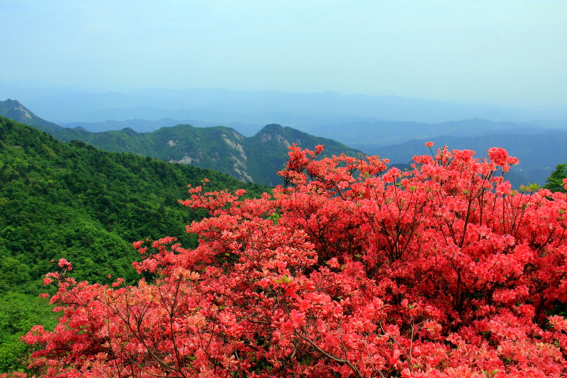 春节麻城游玩攻略,春节麻城游玩攻略大全