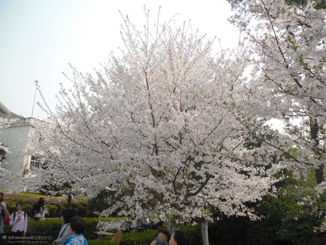 wKgEaVxpXzGAF6HbAALDg--dsGA62.jpeg?imageView2%2F2%2Fw%2F600%2Fh%2F600%2Fq%2F90
