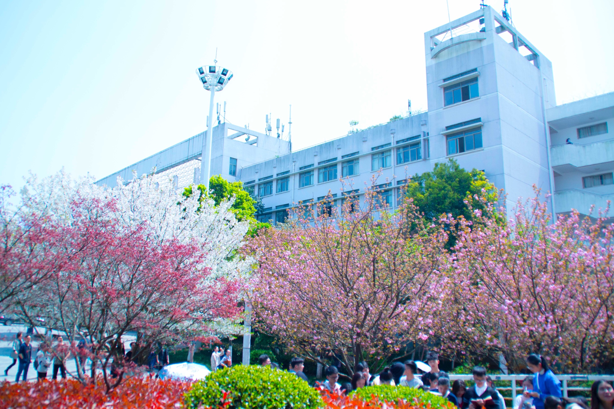长沙游记_途牛