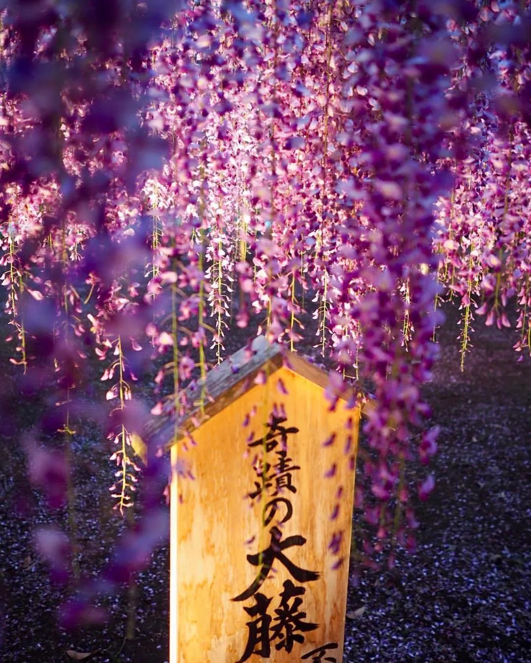 wKgEaVyJw2KAP8J3AAOCN02g9Qc93.jpeg?imageView2%2F2%2Fw%2F680%2Fq%2F90%7CimageMogr2%2Fstrip%2Fquality%2F90