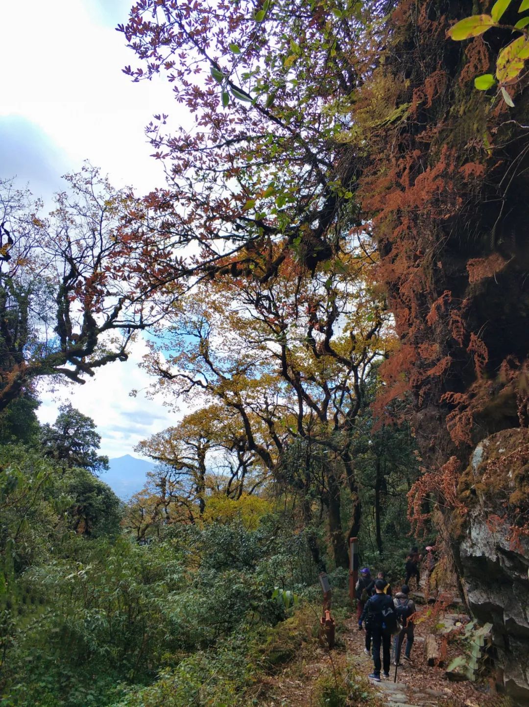 高黎贡山徒步45公里 重走远征之路4日游 腾冲银杏村 腾冲火山群