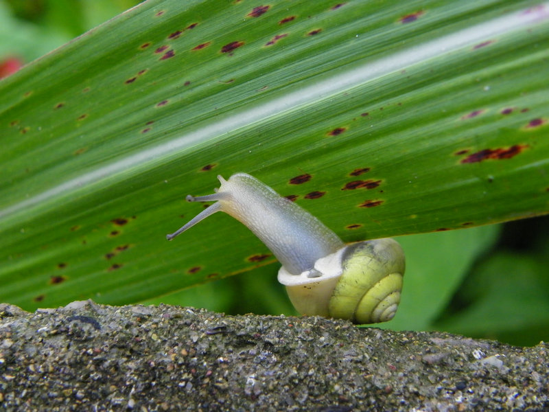 wKgBpU4czePvnrkwAAHrRvpSYZU60.jpeg?imageView2%2F2%2Fw%2F600%2Fq%2F50%7Cimageslim