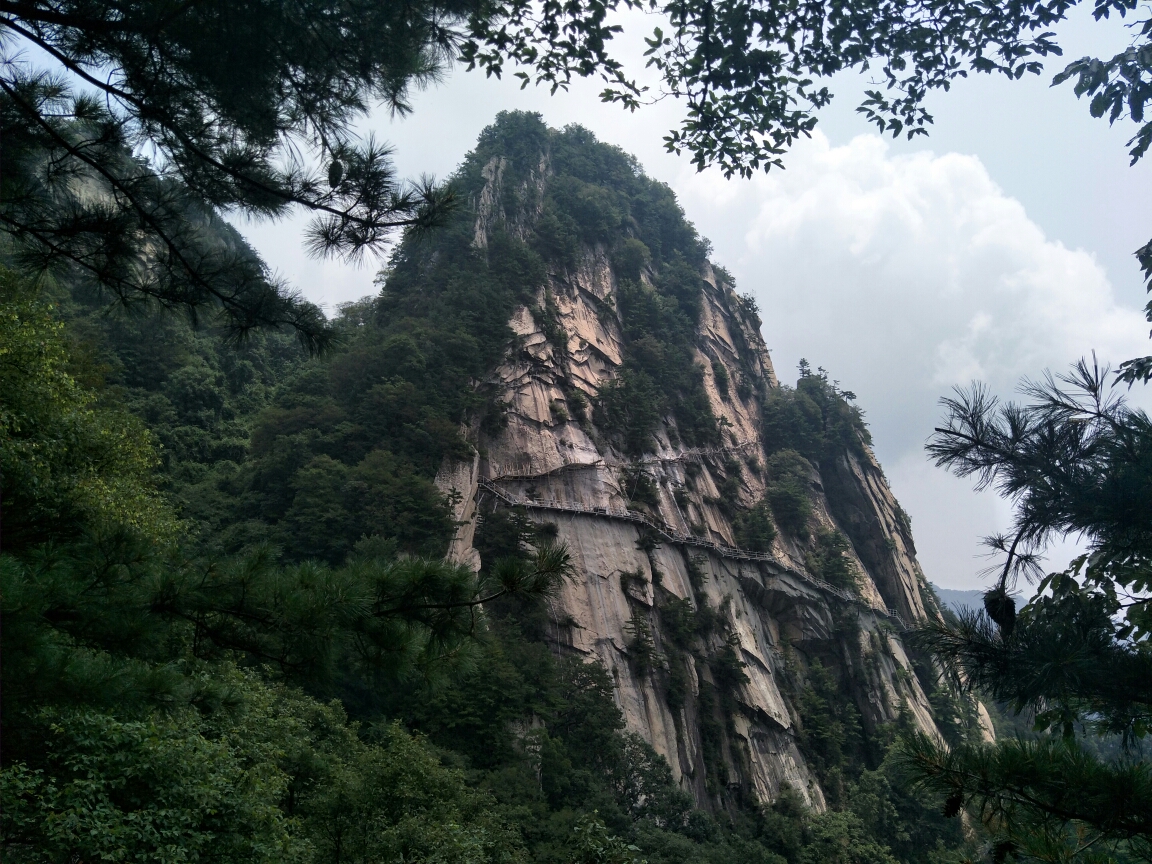 wKgIDFuErV6AAy1iAA563yiGFCM28.jpeg?imageView2%2F2%2Fw%2F600%2Fh%2F600%2Fq%2F90
