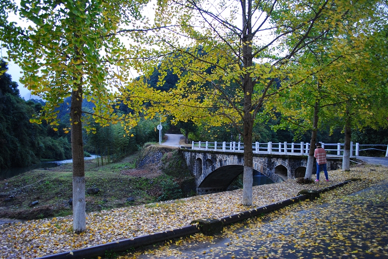 南雄景点介绍,南雄旅游景点,南雄景点推荐 - 马蜂窝