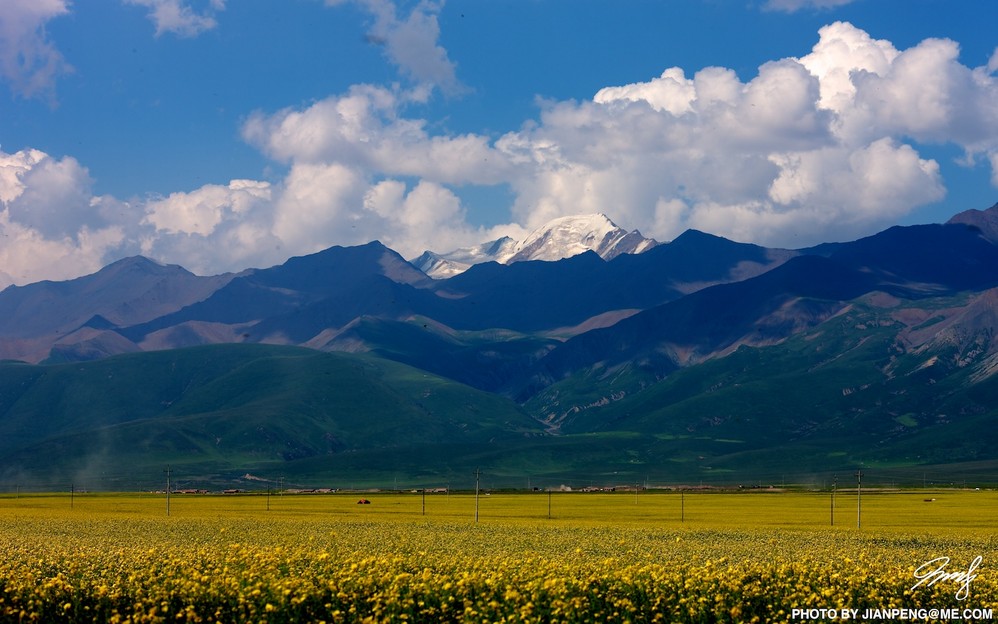 wKgBpU7QvcjU3FtGAAJRswFjmDM79.jpeg?imageView2%2F2%2Fw%2F600%2Fh%2F600%2Fq%2F90