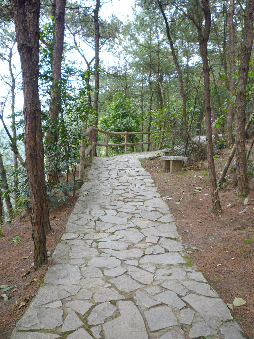 重庆铁山坪铜锣峡步道