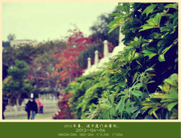 野草莓厦门游玩攻略,野草莓 厦门