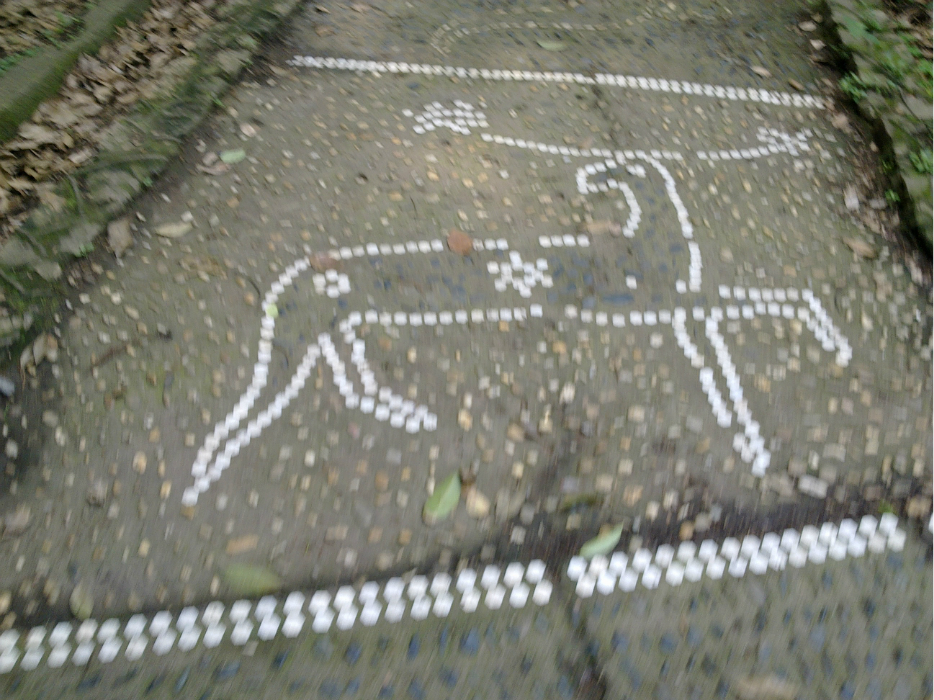 一盆花猜成语_一盆花图片(2)