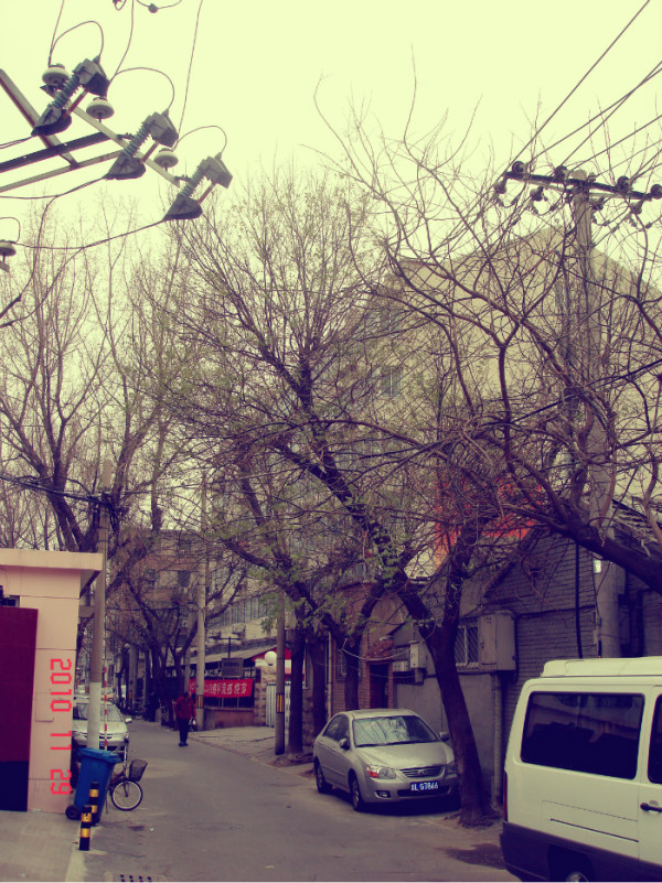 北京鼓楼胡同游玩攻略,北京鼓楼胡同游玩攻略图