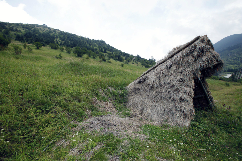 神农架有多少人口_神农架野人(2)