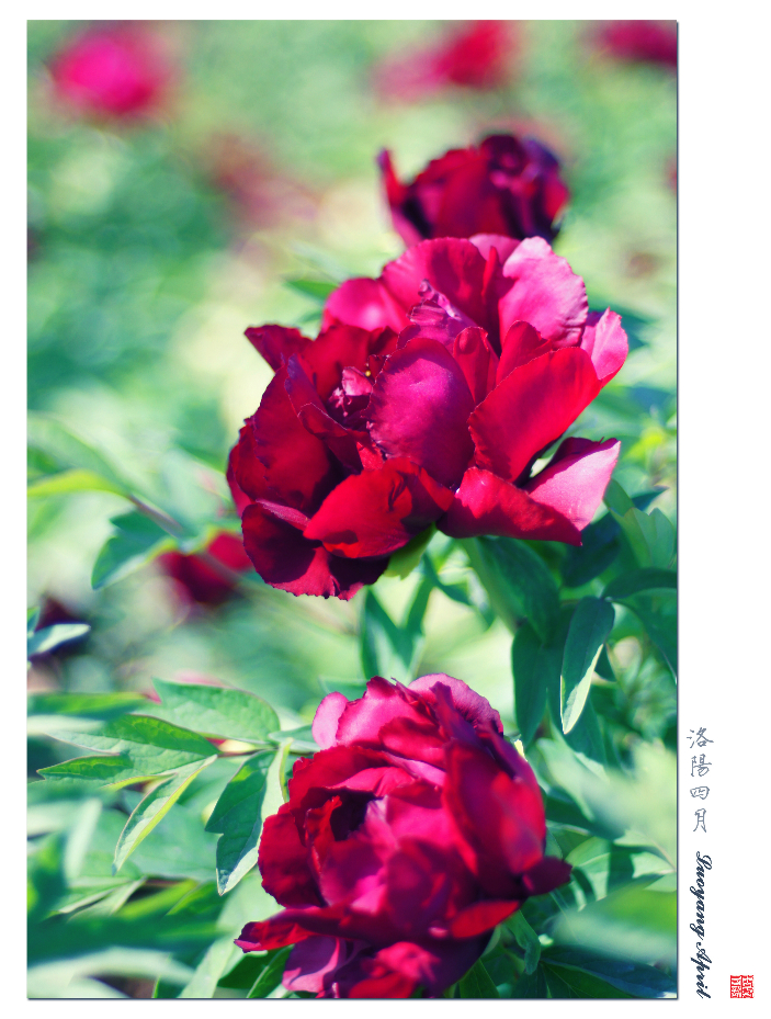 wKgB3FF3XHKAPUPnAAuhfjx_mWY72.jpeg?imageView2%2F2%2Fw%2F600%2Fq%2F90%7CimageMogr2%2Fstrip%2Fquality%2F90