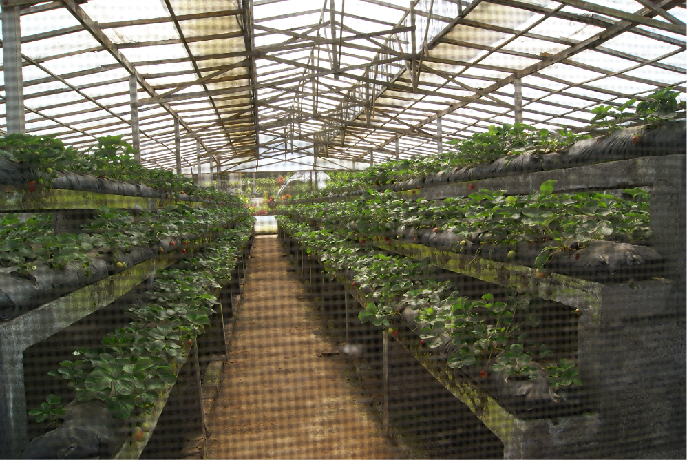 wKgB3FF_RHCAZxytABAZSVbYqxc39.jpeg?imageView2%2F2%2Fw%2F600%2Fq%2F90%7CimageMogr2%2Fstrip%2Fquality%2F90