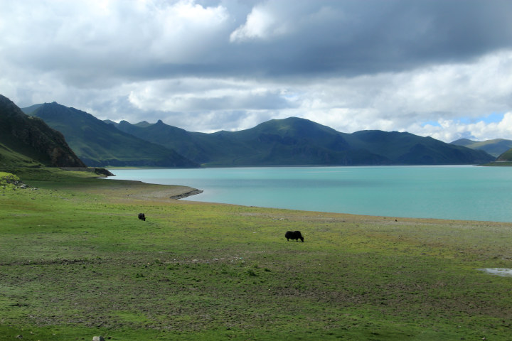 浪子卡县人口_浪子燕青纹身(2)