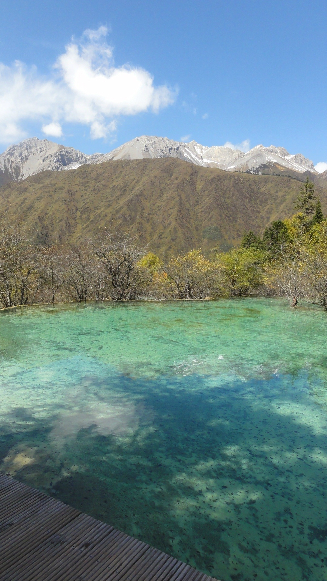 迭部多少人口_迭部秋景