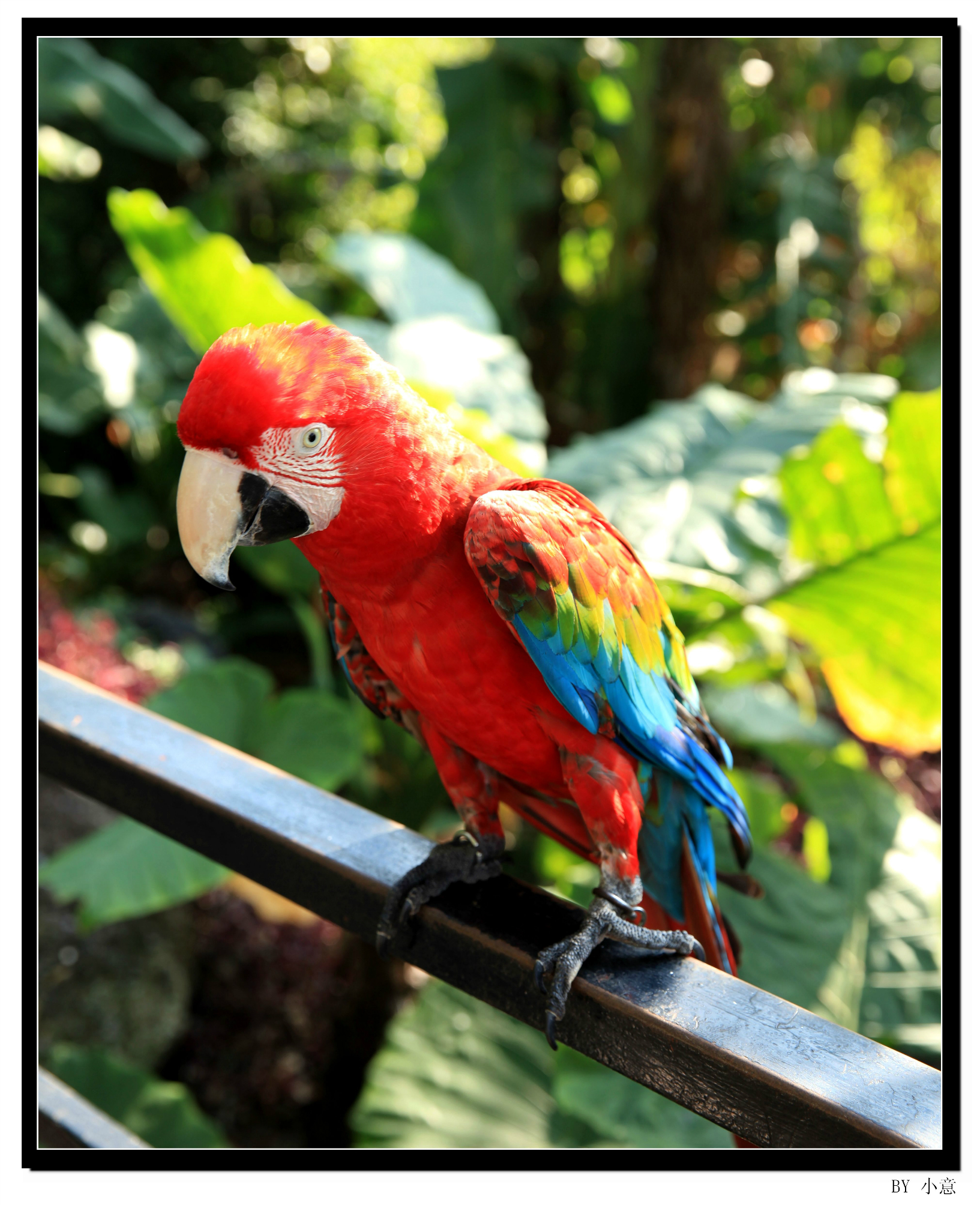 wKgB3FD8v3iAE-GBACGG7lrctm458.jpeg?imageView2%2F2%2Fw%2F600%2Fq%2F90%7CimageMogr2%2Fstrip%2Fquality%2F90