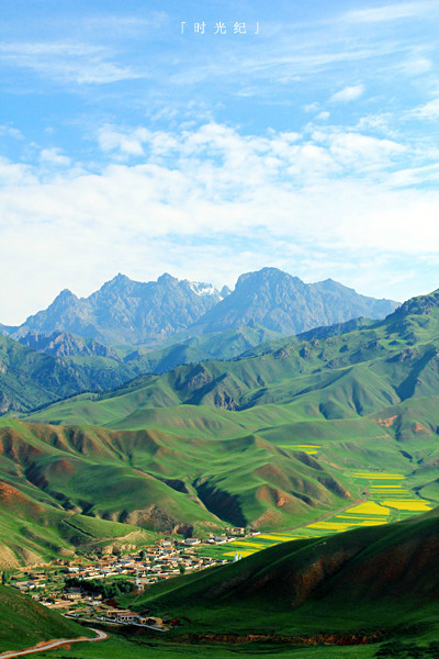 『醉美,青海』· 大美祁连山 · 门源油菜花