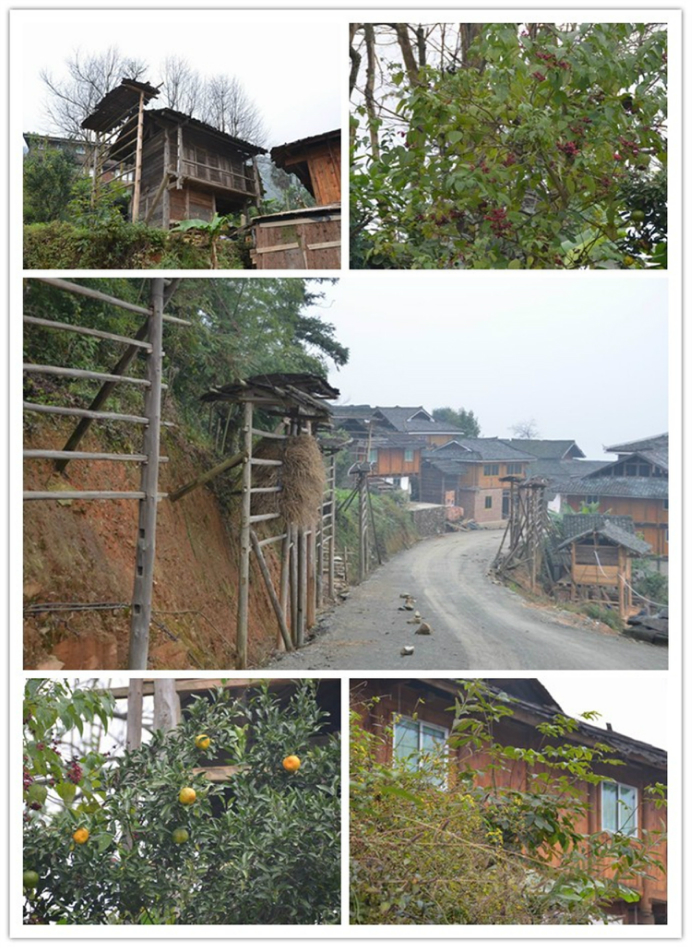 从江县有多少人口_从江县地图(3)