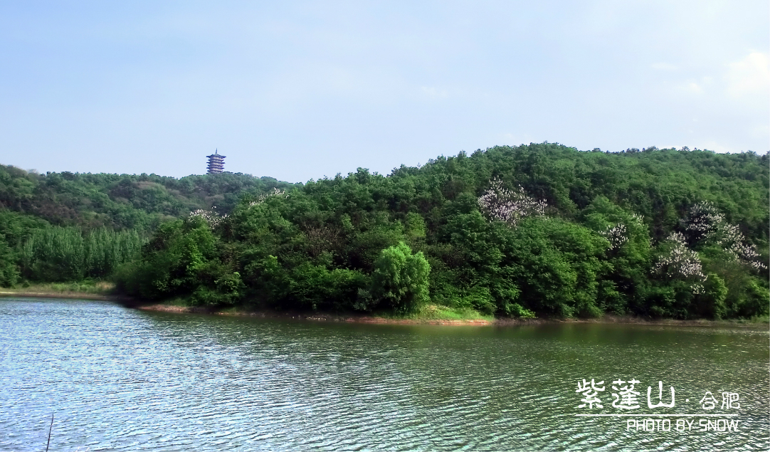 紫蓬山风景区