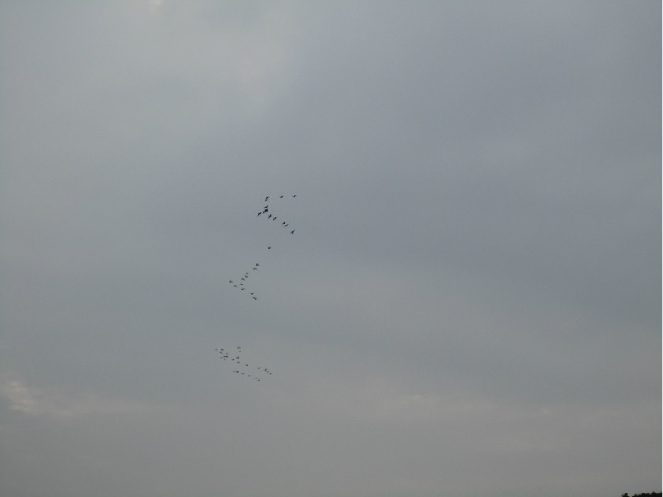 我知道那是痴人说梦,那就让我和厦大在