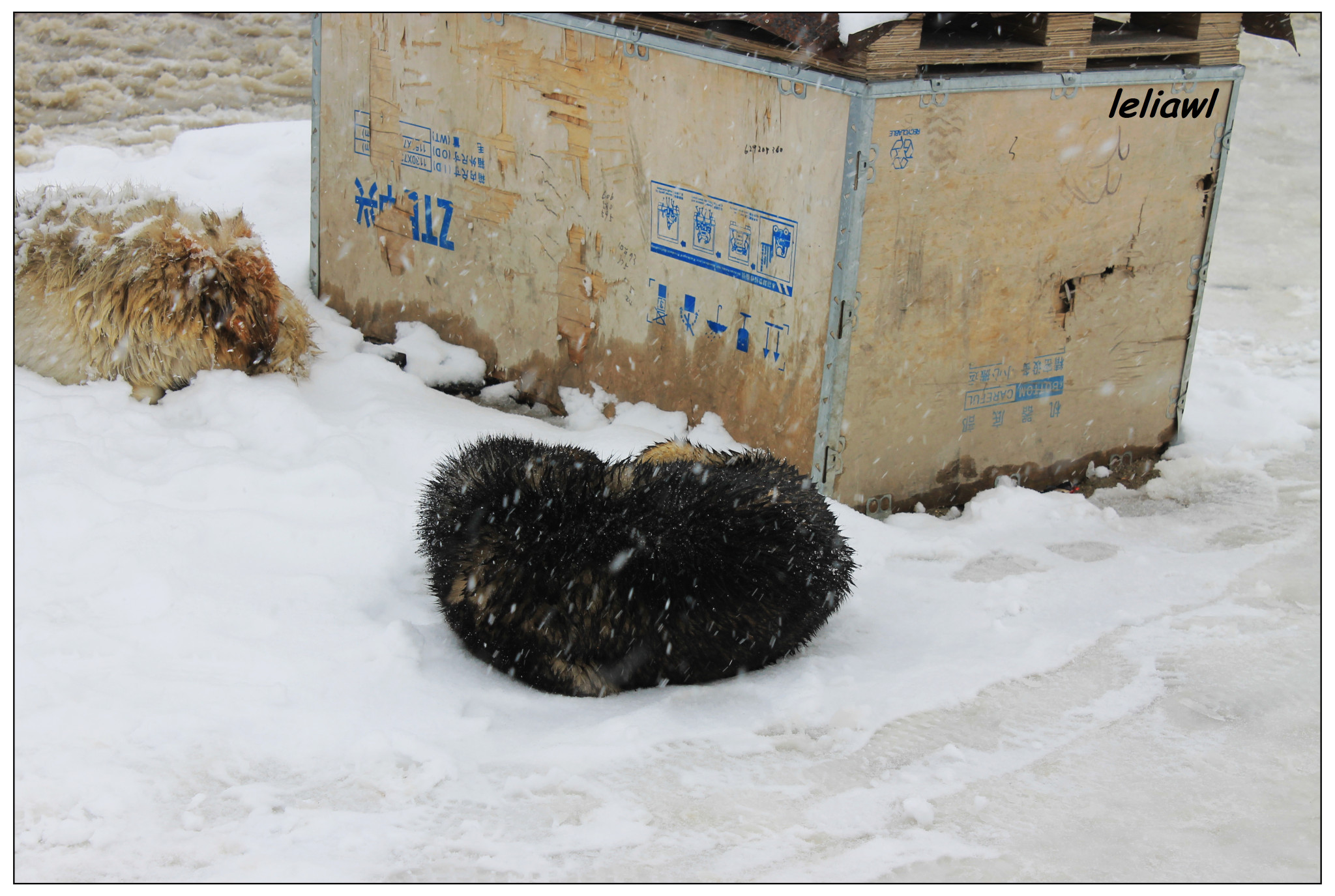 两个谷猜成语_看图猜成语500个图片(2)