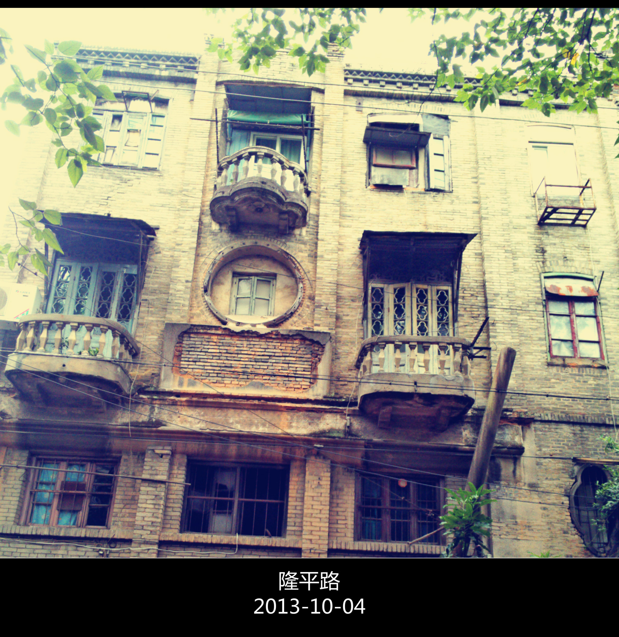 福州永人口_福州人口净流入趋势图