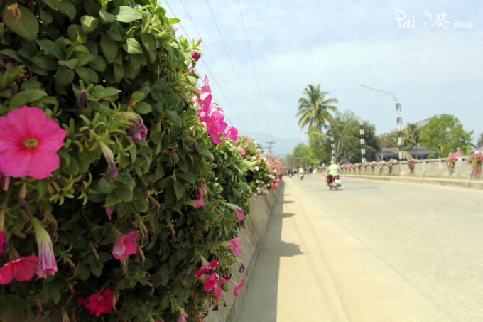 友善歌曲谱图片分享下载