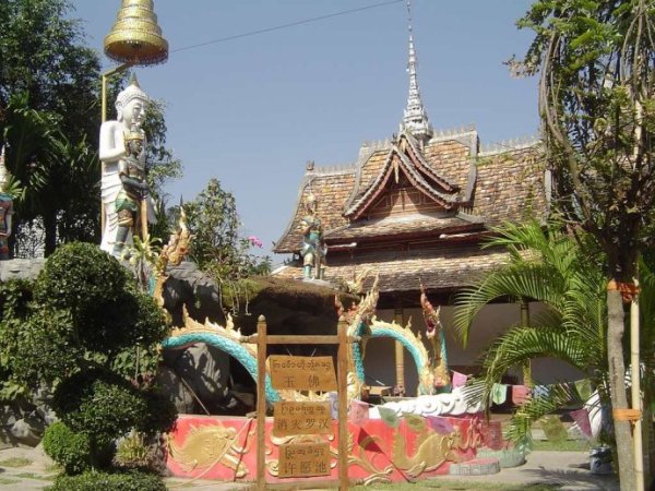 橄榄坝游玩攻略,橄榄坝游玩攻略一日游