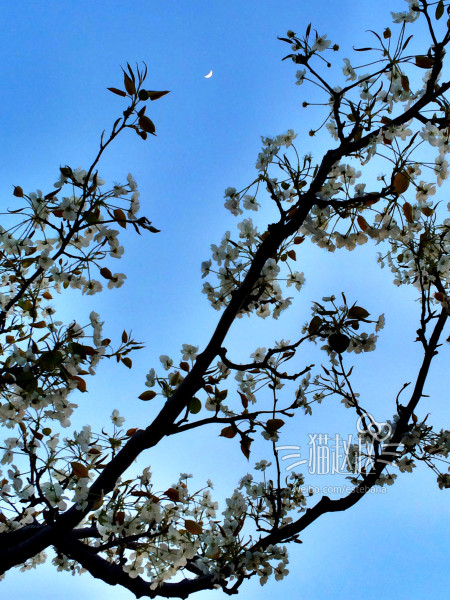 什么时候算是春天的开始 wKgB4lNGfj-APP35AEtqX2NGLL411.jpeg?imageView2%2F2%2Fw%2F600%2Fh%2F600%2Fq%2F90