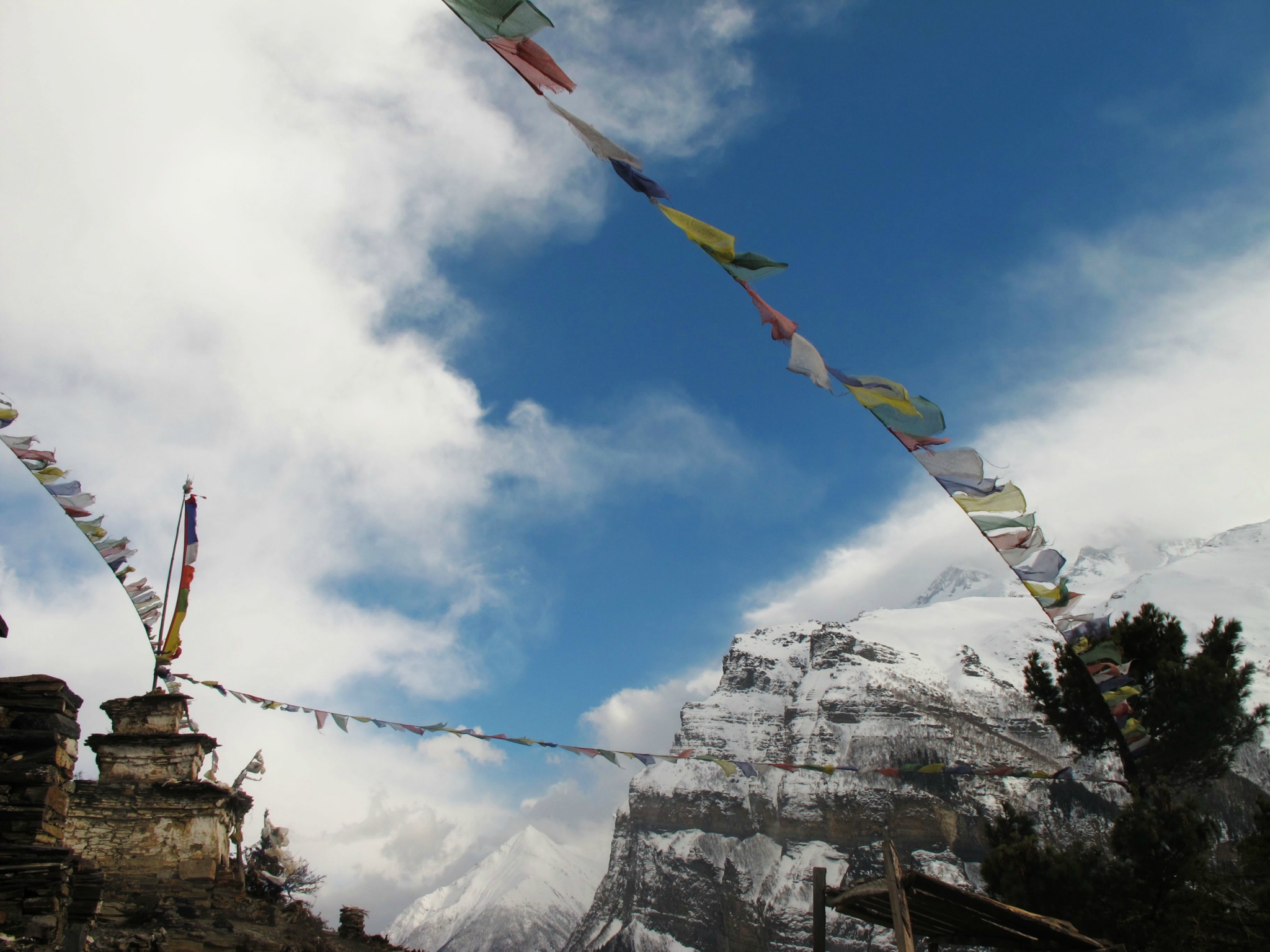 wKgB4lNT072AHjjlABaMq0X2NWA01.jpeg?imageView2%2F2%2Fw%2F600%2Fh%2F600%2Fq%2F90