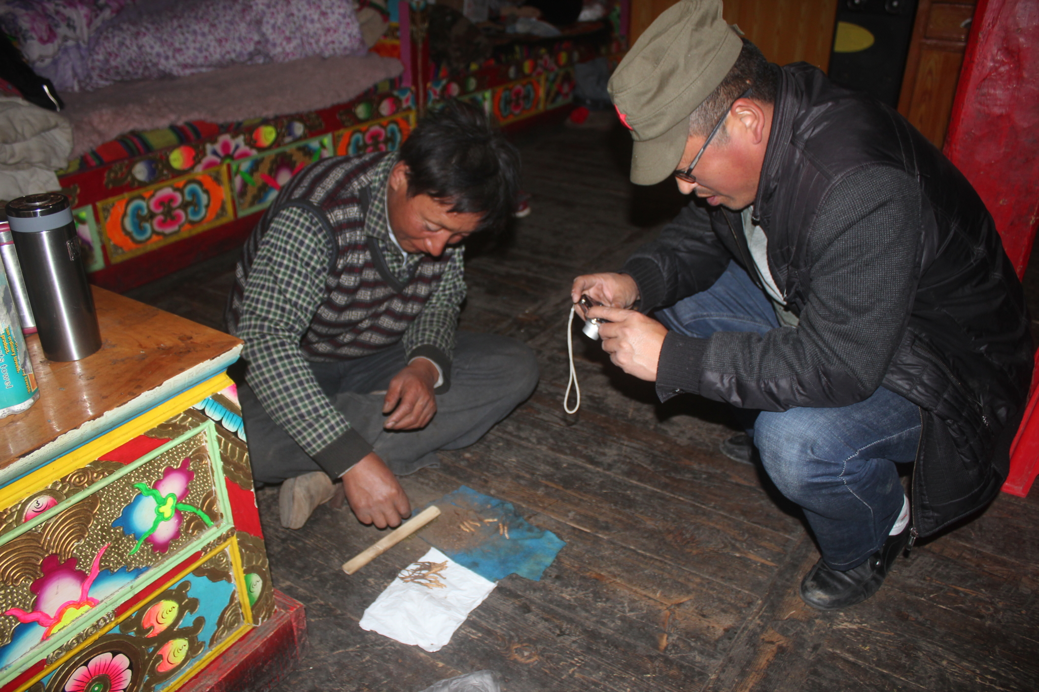 进贡嘎寺,拜贡嘎神山,踏泉华滩,耍子梅垭口,学会挖虫草的2014年五一节