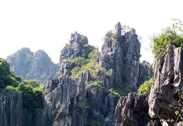 自贡到阳春旅游