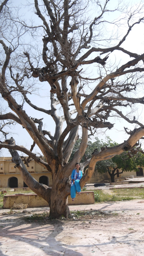 wKgB4lLNSgeAbE8ZAAlijWkFX8A78.jpeg?imageView2%2F2%2Fw%2F600%2Fq%2F90%7CimageMogr2%2Fstrip%2Fquality%2F90