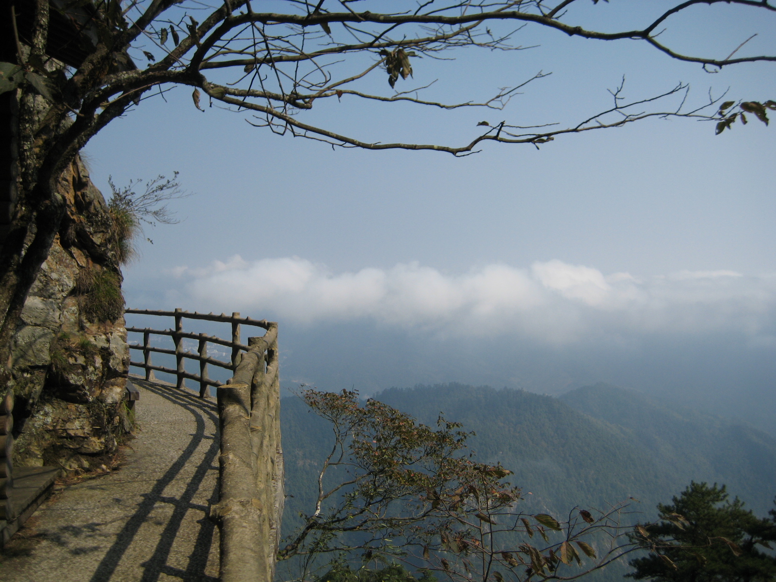 wKgB4lJp50aAU7QTAA43NHTJCQA89.jpeg?imageView2%2F2%2Fw%2F600%2Fh%2F600%2Fq%2F90