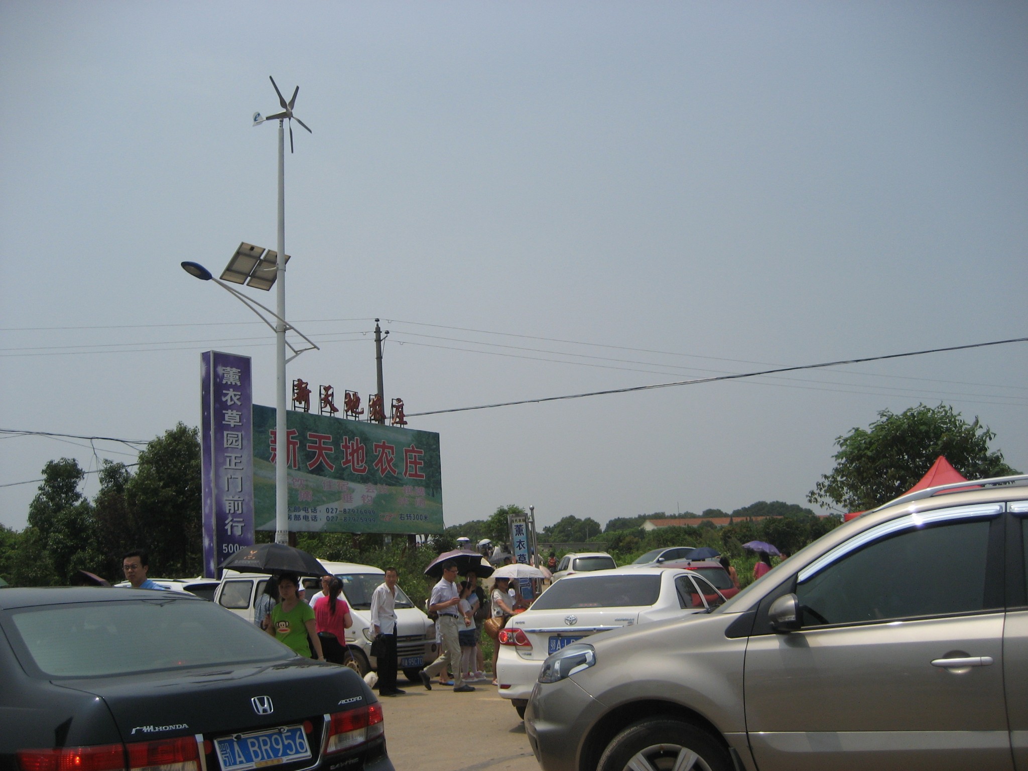 江夏有多少人口_福建江夏学院(3)