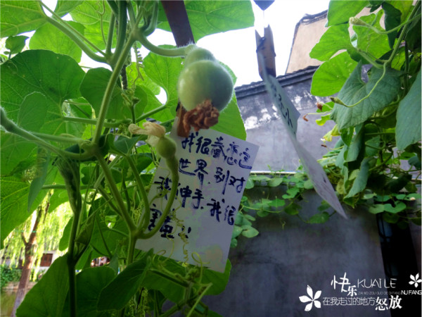 马蜂窝怎么做起来的 wKgB4lI9GbKAXSl-AAqOa9Lr0A443.jpeg?imageView2%2F2%2Fw%2F600%2Fq%2F90%7CimageMogr2%2Fstrip%2Fquality%2F90