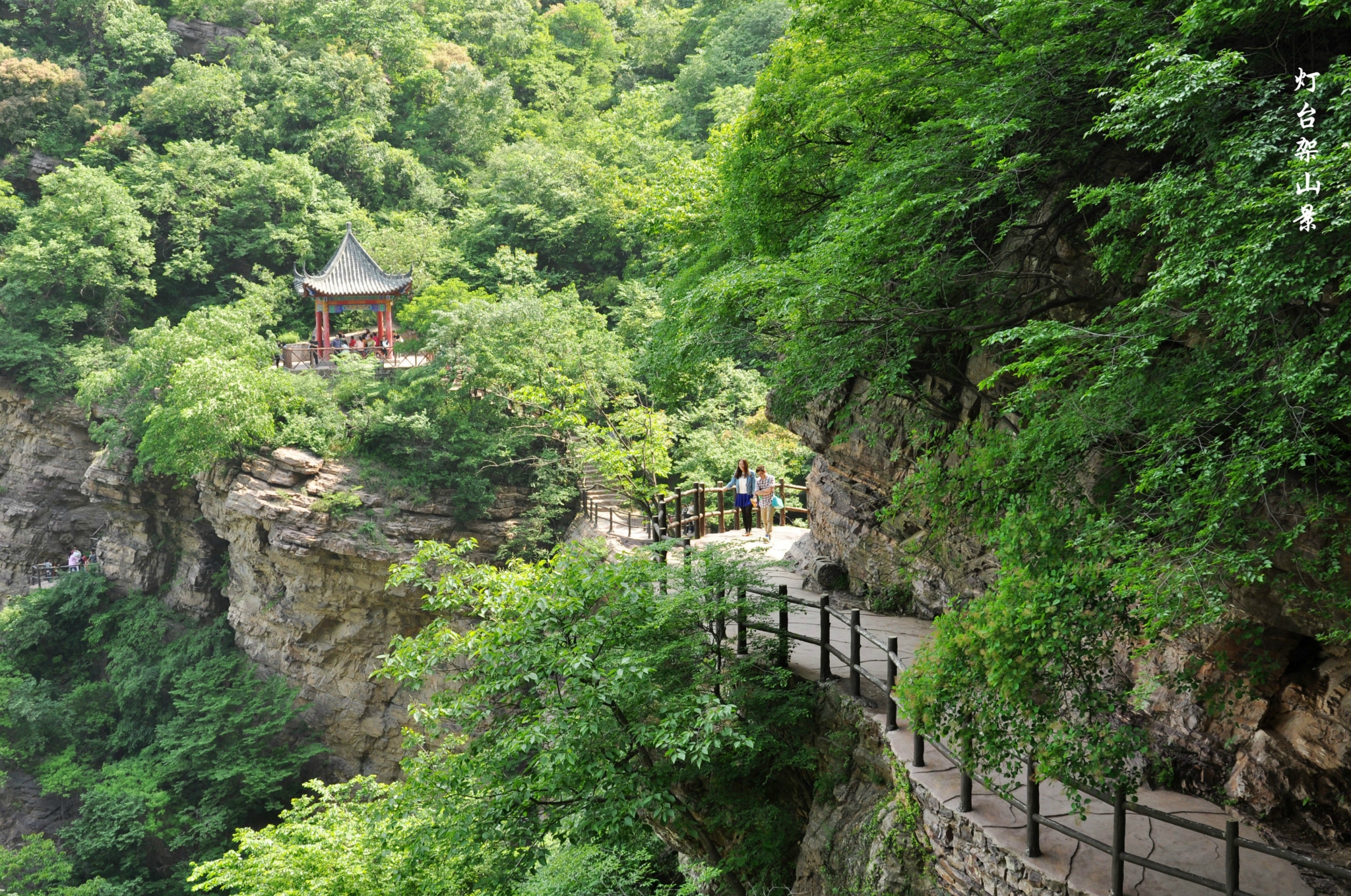 空气大氧吧—舞钢"灯台架"