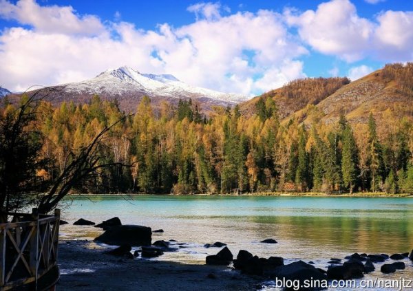 喀纳斯湖水怪最新视频播放 wKgB4lJSKj6AGK3VAAIAjs_F3XY88.jpeg?imageView2%2F2%2Fw%2F600%2Fq%2F90%7CimageMogr2%2Fstrip%2Fquality%2F90