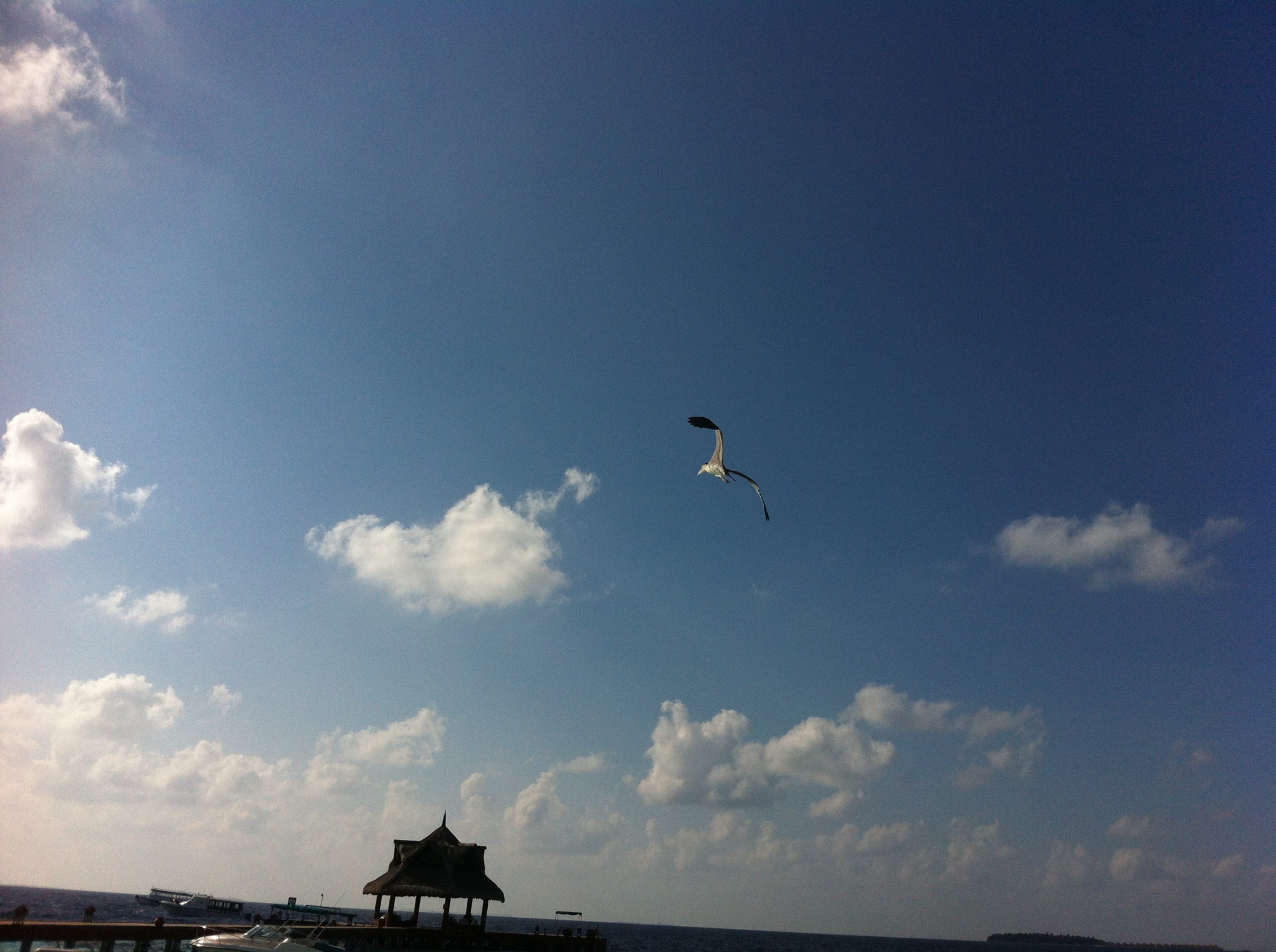 wKgB4lMrB_KAD3VzABtVIhOGUdA82.jpeg?imageView2%2F2%2Fw%2F600%2Fh%2F600%2Fq%2F90