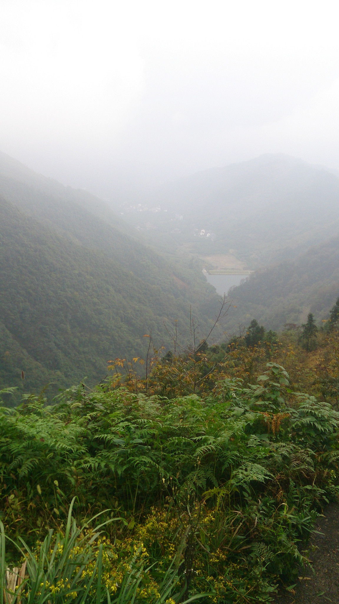 临安锦城镇gdp_临安十锦台户型图