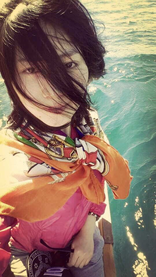 钗凤头简谱_凤头钗图片