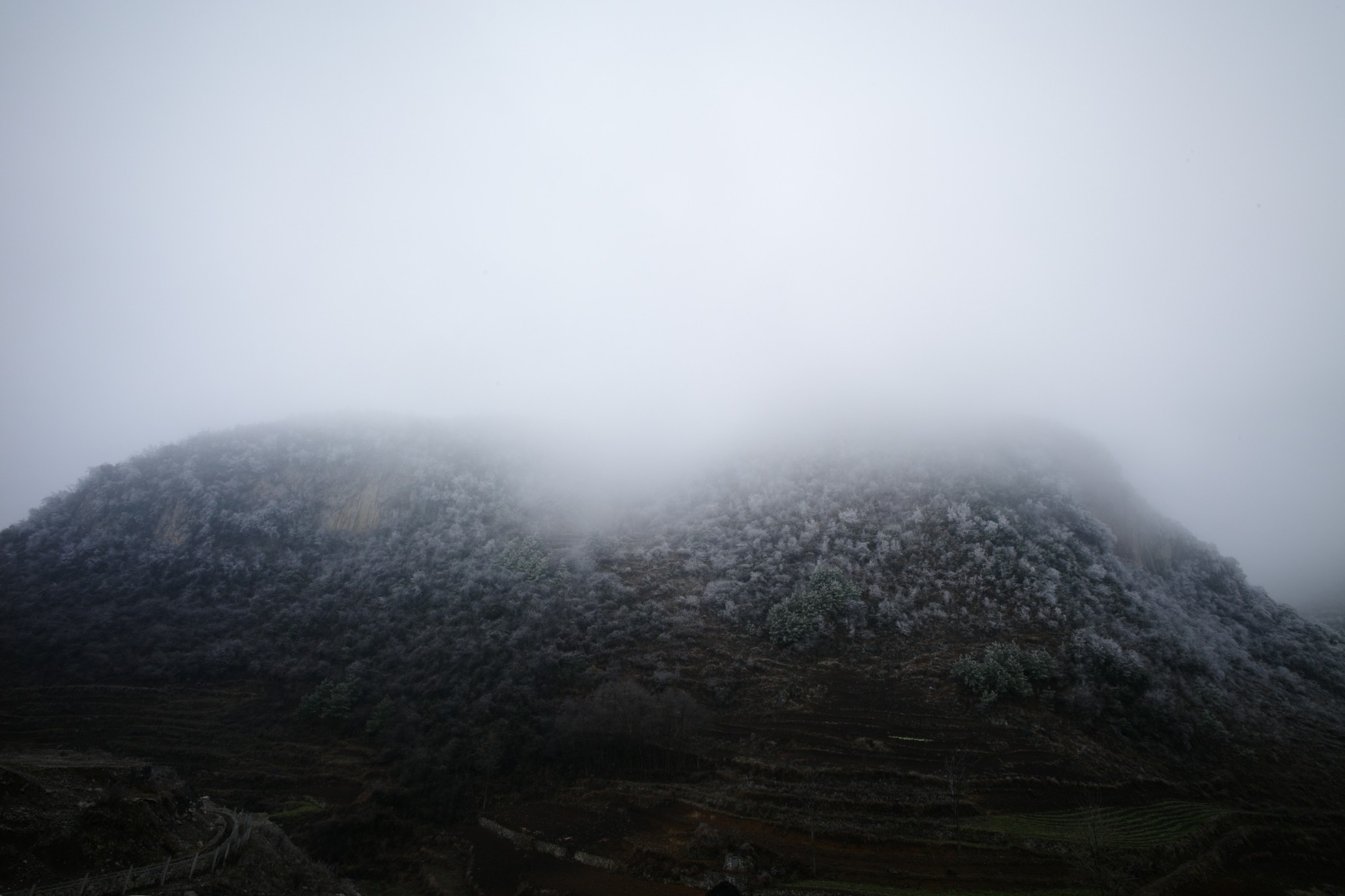 wKgB6lTsGpOAYNthAASW4EeL3P859.jpeg?imageView2%2F2%2Fw%2F680%2Fq%2F90%7CimageMogr2%2Fstrip%2Fquality%2F90